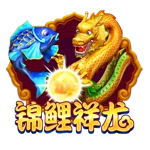 Www.yaxin009.net